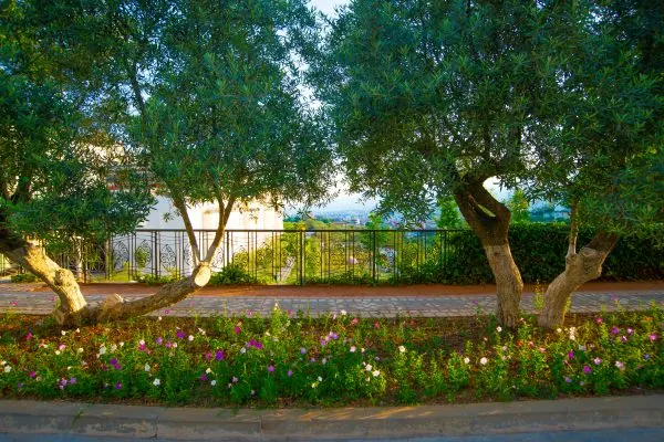 A green life – photo 3